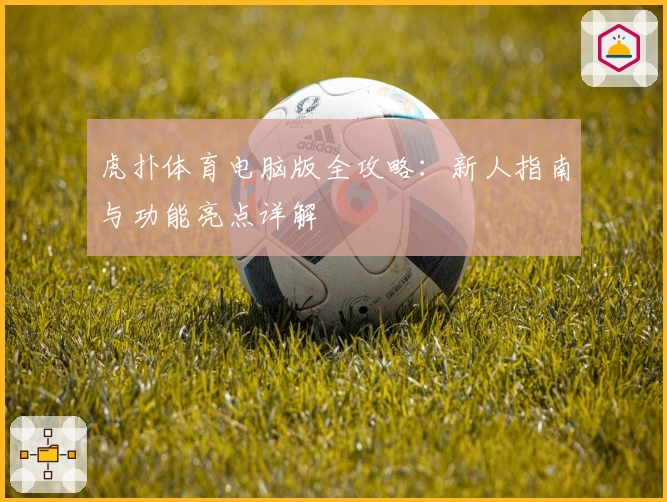 虎扑体育电脑版全攻略：新人指南与功能亮点详解