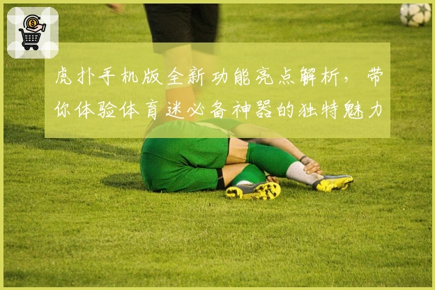 虎扑手机版全新功能亮点解析，带你体验体育迷必备神器的独特魅力