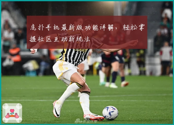虎扑手机最新版功能详解，轻松掌握社区互动新玩法